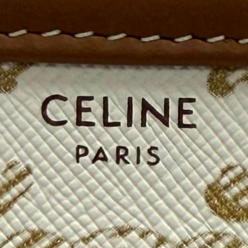 Excellent CELINE Shoulder Bag Logo Chain Clutch Bag off white Triomphe canvas Used