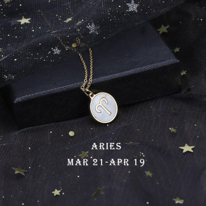 12 Constellation Symbol Titanium Steel Necklace Couple Necklace