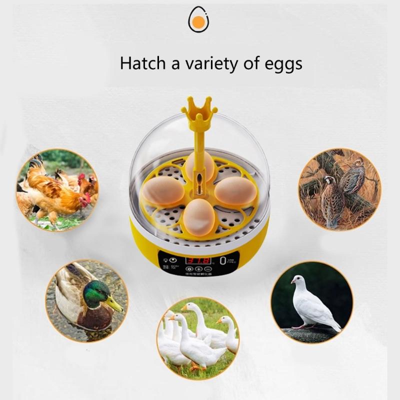 Eggs Incubator 4 Eggs Incubators for Hatching Eggs Heat and Humidity Control 4 Eggs Fully Turnning Poultry Hatcher