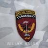 American Embroidery Special Warfare Group, Seals, Blue Team Armband, Resident Evil Backpack, Double-Sided Velcro