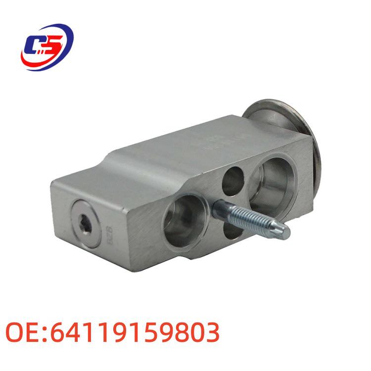 BMW F18 Air Conditioning Expansion Valve (Part No. 64119159803)