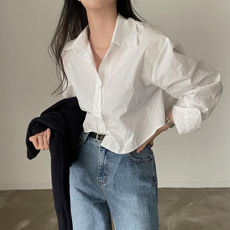 Simple Casual Basic Shirt Design Sense Short Lapel Commuter Loose Shirt Long-sleeved Top Women