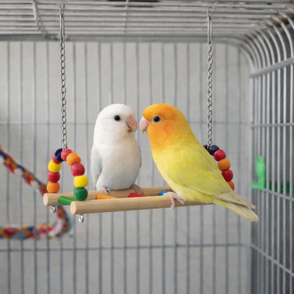 Bird Perch Stand Bite Resistant Parrot Swing Wooden Colorful Beads Bird Hanging Bird Cage Standing Play Gym