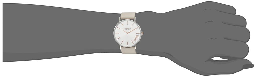 Uhr PERRY 14503116 Grau [Coach] Damen [Artikel]