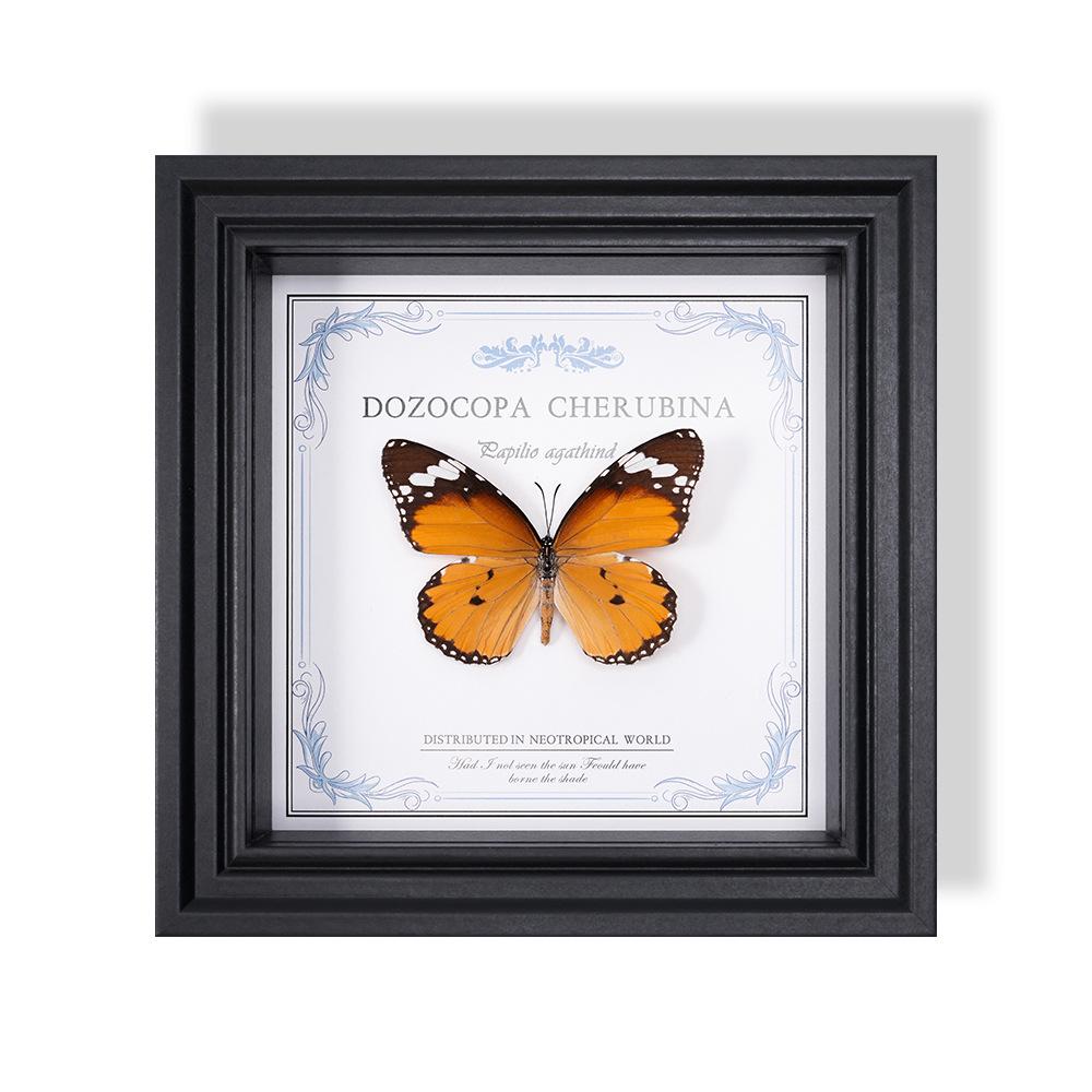 Wall-Mounted Butterfly Specimen Photo Frame: Home Decor & Gift for Valentine's Day, Qixi, Birthday, Couples & Insect Lovers