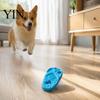 Bite Resistant Dog Toy for Aggressive Chewers Slipper Chew Toy, Puppy Teething Thong Sandal Shape, Interactive Safe EVA Material Fetch Small To Large