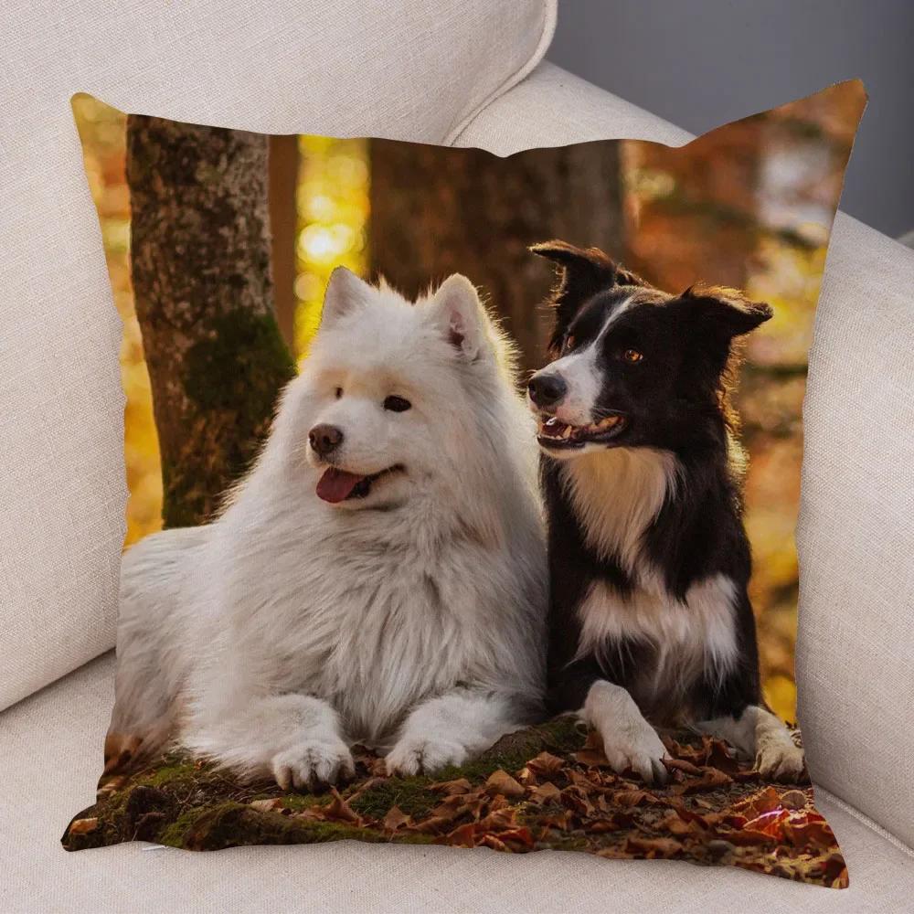 Trykt Putetrekk for Kjæledyr Skottland Border Collie Mykt Plysj Putetrekk Dekor Søtt Hundeputetrekk for Sofa Bil