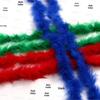 Thickened Turkey Feather Strips for Hat Brims, Skirt Hems, Crafts, and DIY Jewelry