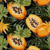 Tissus Décoratifs Extérieurs Oxford - Motif Fruits | Dx6439