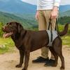 Adjustable Pet Rear Leg Support Comfortable Dog Back Leg Sling  Joint Injuries