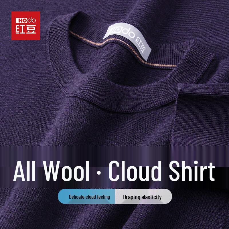 Hodo Men's 100% Merino Wool Thin Crew Neck Pullover