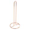 Wrought Iron Tissue Holder Smoother Surfaces Simple 1 Piece Molding Tissue Reserve Paper Holder for Office Kitchen