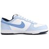 Nike Big Blue Island Shimmer Leather Low top Skateboard Shoes Unisex Blue 355152-140(Team1155-)