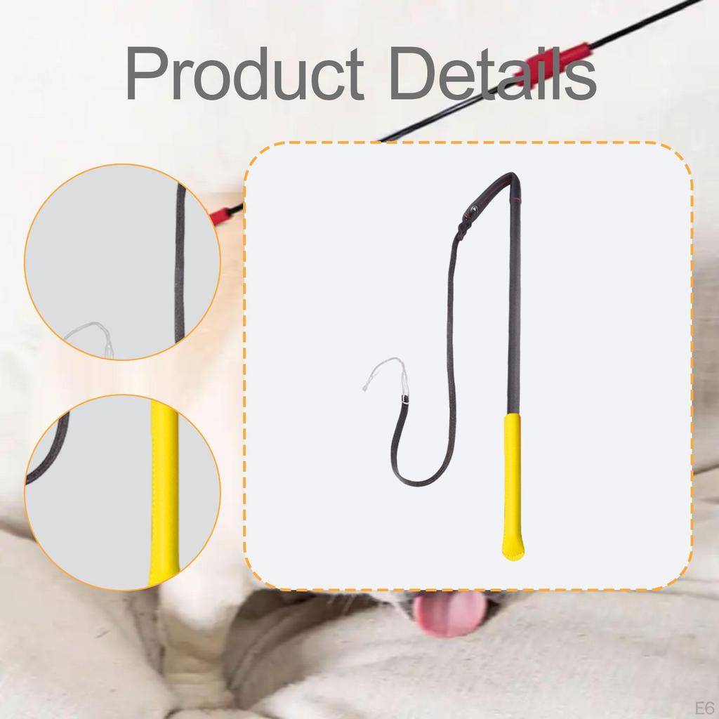 Dog Training: Obedience Training, Exercise, Discipline, Behavior Training with The - Strum