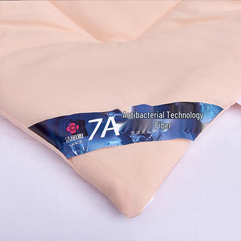 Jieliya Grace Cloud-Feel Antibacterial Warm Core Winter Quilt