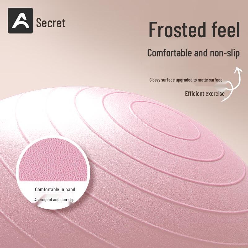 Pregnancy & Fitness Yoga Ball