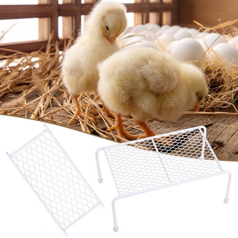 Landscaping Platforms Pet Feeding Supplies Chicken Cage Accessories Rutin Chicken Grid Racks