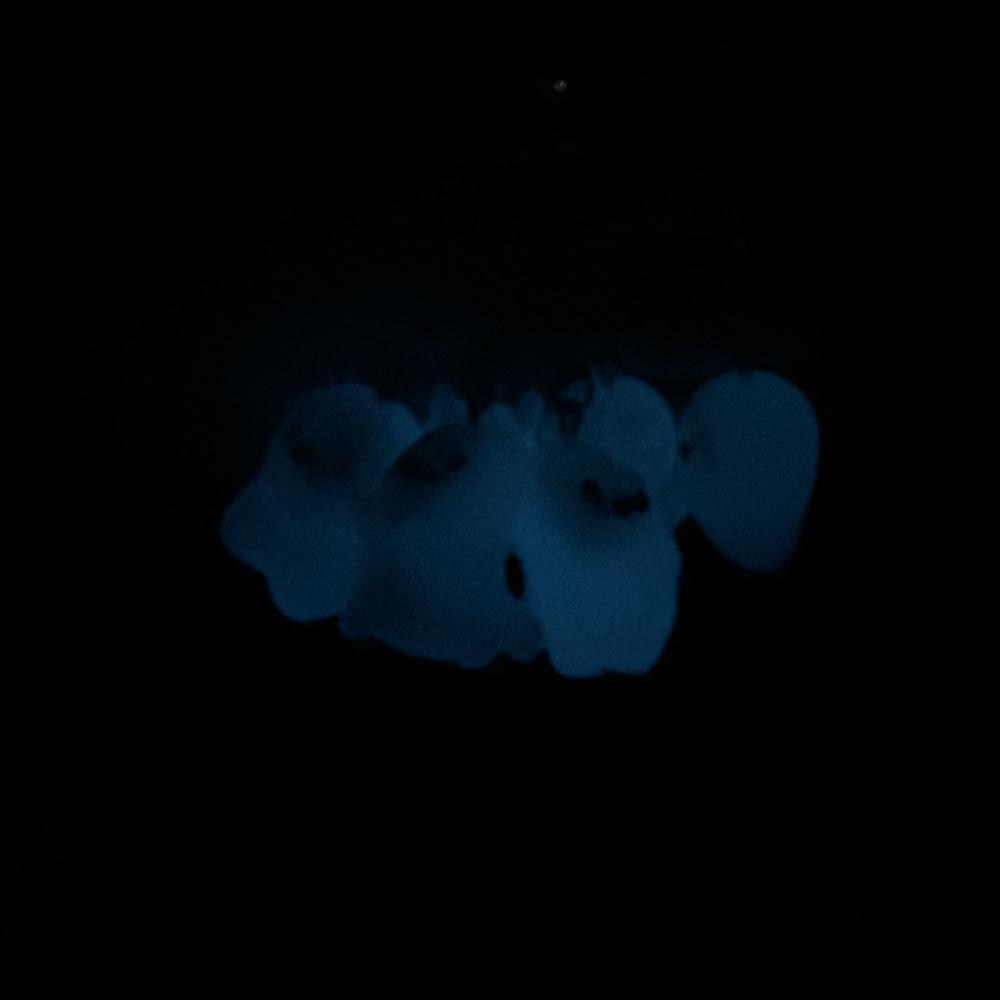 Luminous Halloween Ghost Keychain Cute Cartoon Accessories for Women Couple Family Keychain Pendant