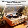 Monosaudio Record 60Hz Rotation Vibration Reduction Vibration Level for LP Record LP 320G Aluminum with Soft Base and Bubble Level for Vinyl Record
