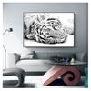 And Print Canvas Wall Art Picture Nordic Style Painting Modern Home Living Room Decoration Snow White Tiger Animal Poster