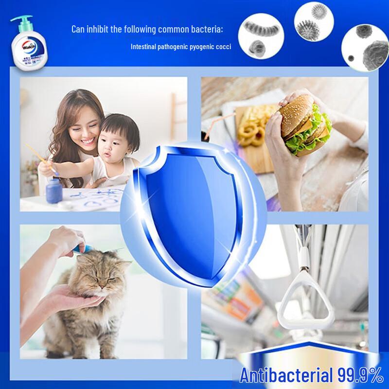 Walch Healthy Care Hand Wash 250ml