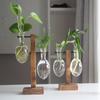 Hydroponic Plant Terrarium Vase Durable Clear Glass Ornament for Home Office Desktop Living Room Decoration