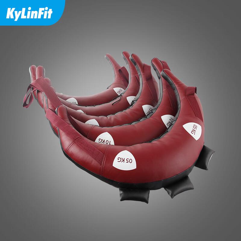 Bulgarian Training Bag