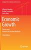 Kniha Economic Growth : Theory and Numerical Solution Methods