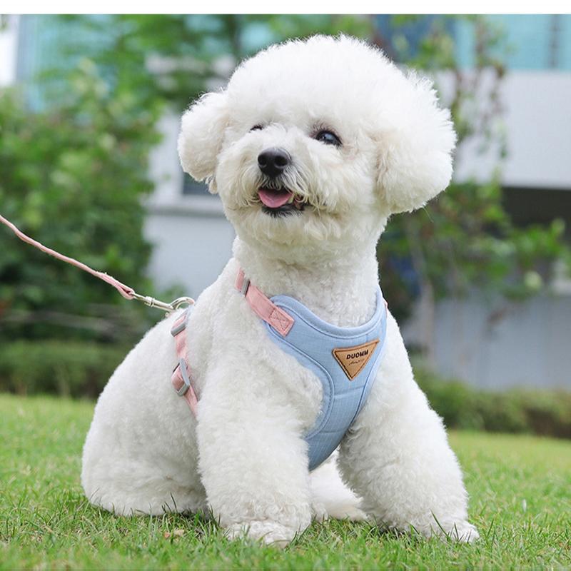 Adjustable Pet Dog Harness Breathable Puppy Harness Leash Set for Small Medium Dog French Bulldog Chihuahua Clothing Pet Supply