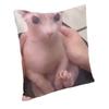 Funny Bingus Throw Pillow Covers Living Room Sofa Decoration 3D Print Sphynx Cat Meme Sofa Cushion Cover Double-sided