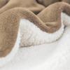 Double-Layer Lamb Fleece Cotton Blanket - Thick, Soft, and Comfortable with Customizable Logo for Office or Car Use.