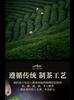 Premium West Lake Longjing Green Tea Mingqian New Tea Ceramic Gift Box 250g High End Head Picking Spring Tea for Elderly Leaders