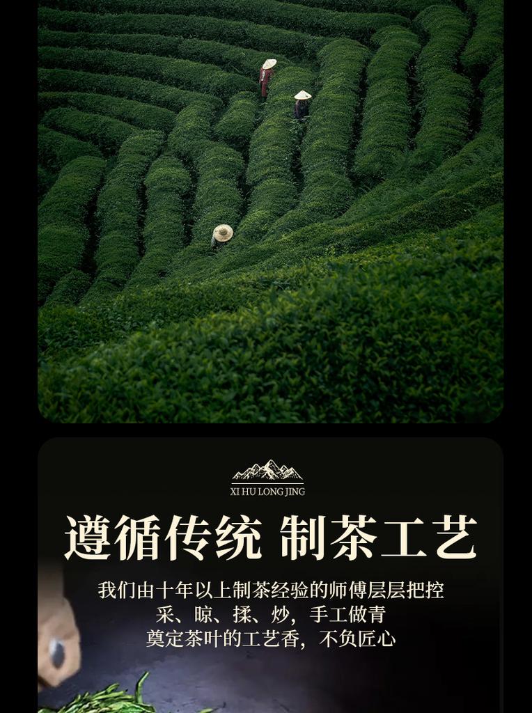 Premium West Lake Longjing Green Tea Mingqian New Tea Ceramic Gift Box 250g High End Head Picking Spring Tea for Elderly Leaders