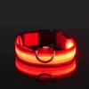 Nylon LED Night Safety Flashing Glow In The Dark Dog Leash Dogs Luminous Fluorescent Pet Dog Collar