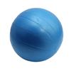 25cm Inflatable Yoga Ball Exercise Fitness Pilates Ball Balance Gym Pump Yoga Training Ballon