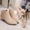 Herbst- und Sommer-Schuhwerk Kurze Stiefel mit dicken Absätzen Reißverschlüsse Mattierte kurze Stiefel Spitz zulaufende Einzelstiefel für Damen.