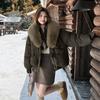 Autumn Winter Women Down Cotton Coat Street Imitation Fur Collar Hooded Short Cotton Padded Jacket Female Basic Snow Warm Overcoat