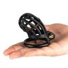 Generation Pig Male Chastity Chastity Lock SM Penis CB Lock Adult Sex Toy Supplies