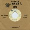 7inch Record PAD ANTHONY  Ruff A Them  Ruff A Them Version DSRLJU718 Prince Jammys D 2015 Japan Reggae Ska  Dub
