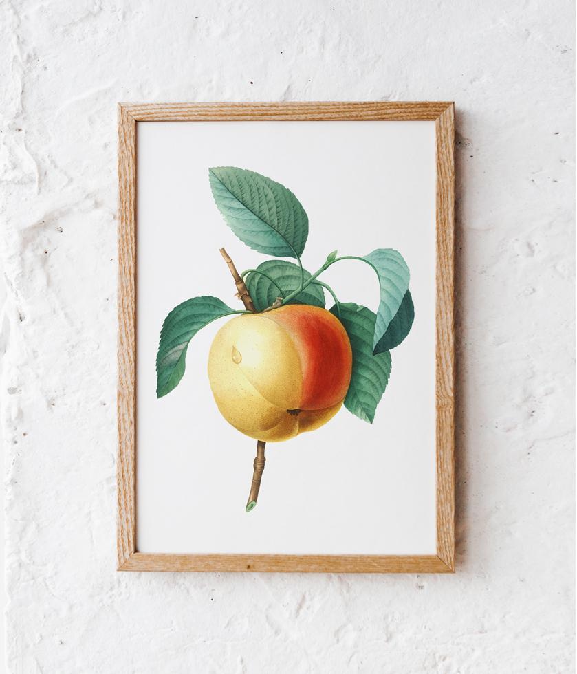 Vintage Apple Blossom Poster