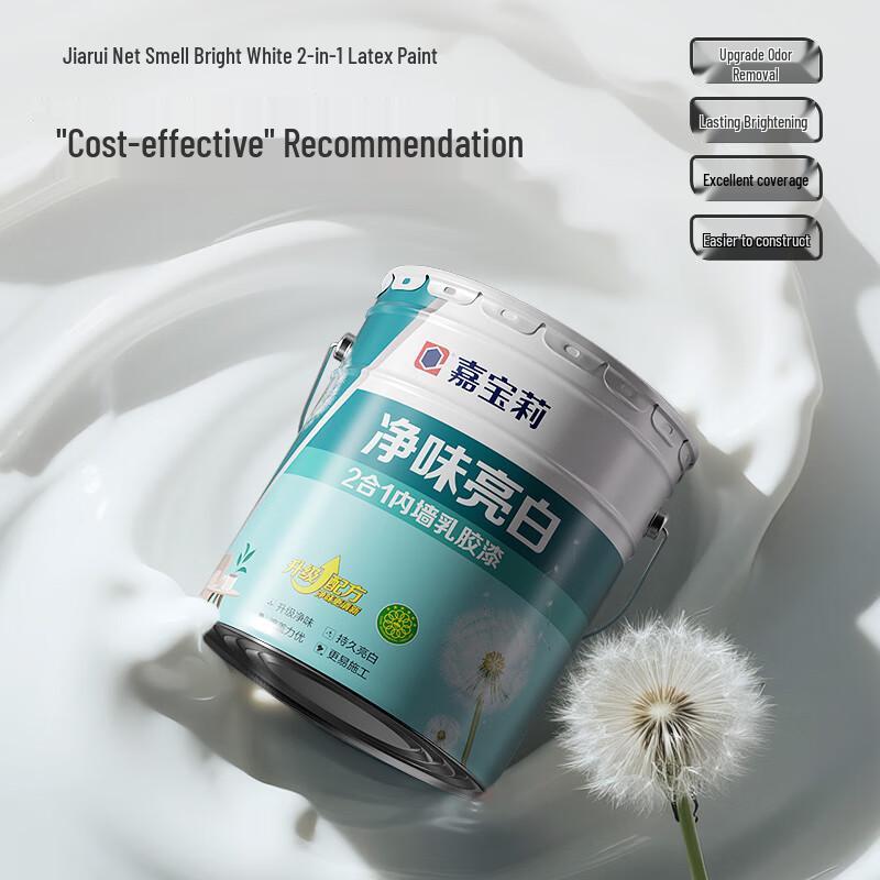 Carpoly Odorless Bright White 2-in-1 Interior Latex Paint