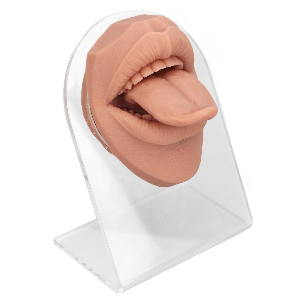 Human Tongue Model Soft Silicone Lifelike Acrylic Stand Mouth Model for Jewelry Display Flesh Blond
