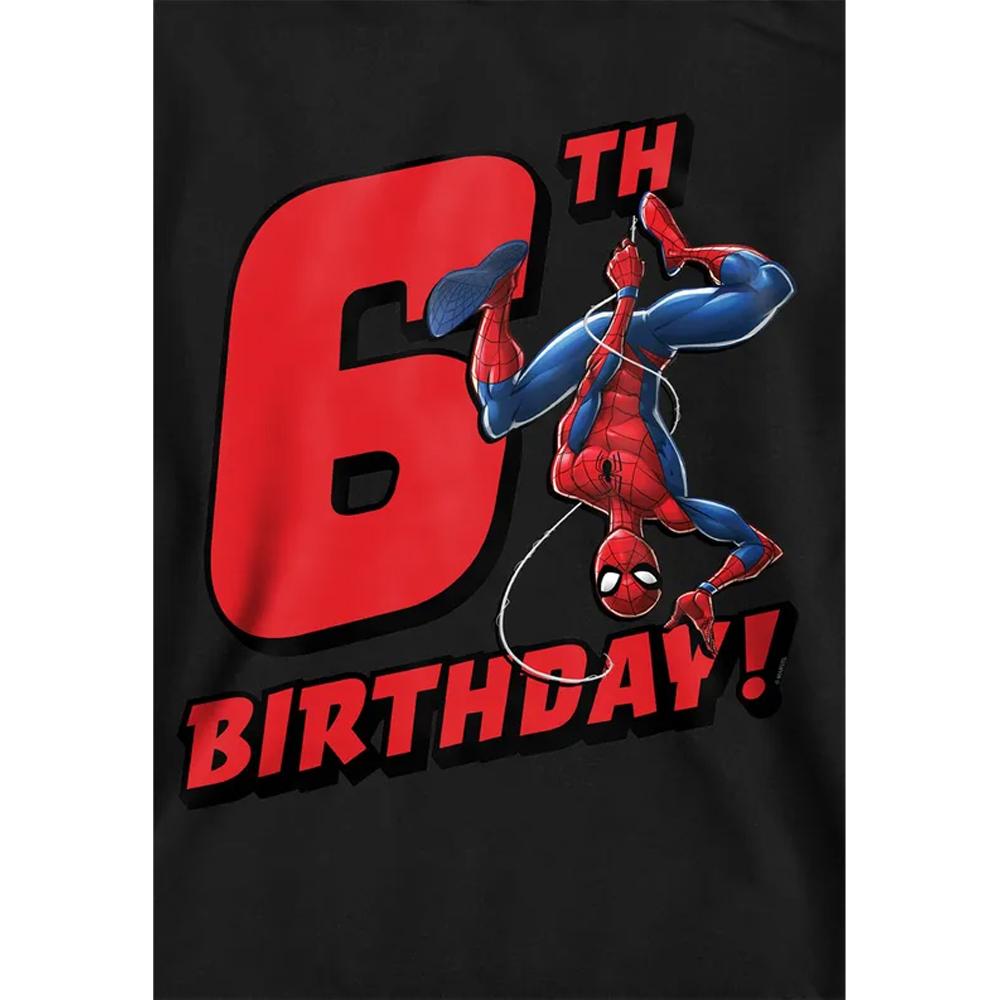 Spider-Man Childrens/Kids 6th Birthday Hoodie