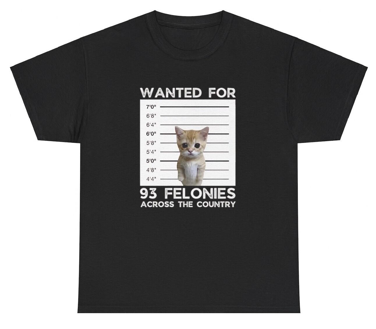 Wanted For 93 Felonies T Shirt Funny Bad Cat Owner Lover Jail Meme Gift Tee M