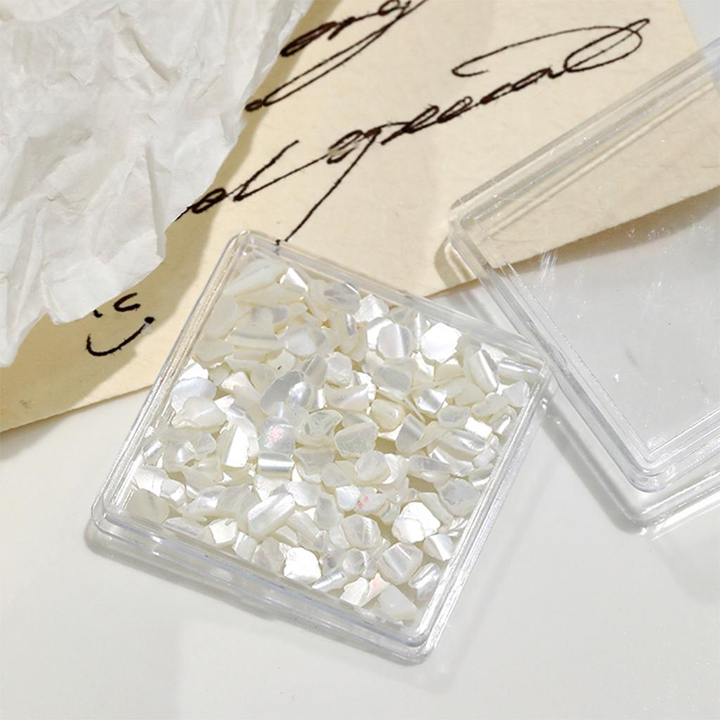 1 Dose Aurora Muschelflocken Abalone Nägel Charme Dünne Natürliche Unregelmäßige Scheibe Muschelstein Pailletten Maniküre Kunst Dekoration Salon DIY