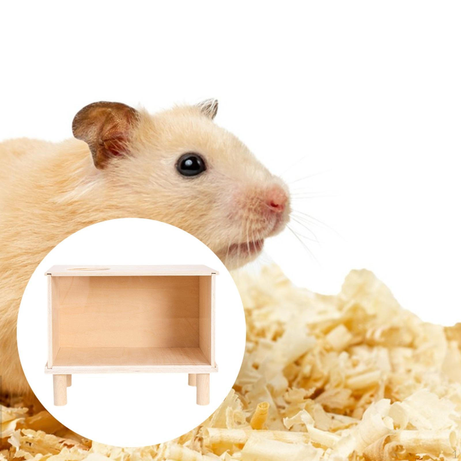 

Ящик для копания хомяка, игрушка для захоронения хомяка, аксессуары,, контейнер для песка в Сирии L