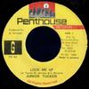 7inch Record JUNIOR TUCKER  Lock Me Up PH59 Penthouse Recor 1994 Jamaica Reggae Ska  Dub Used