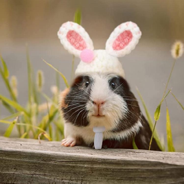 Pet Rabbit Ears Hat Photo Props for Hamster Handwoven Cap Rainbow Carrot