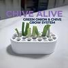3D Printed Scallion Leek Regrow Planter Hydroponic Growing Pot for Kitchen Window Multi-Hole Design Home Garden Vegetable Kit