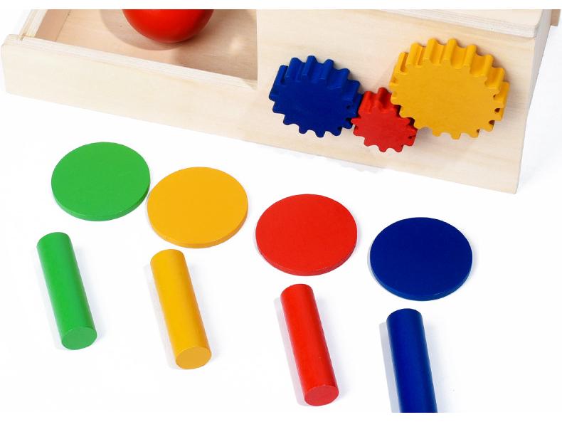 Montessori Color & Shape Recognition Building Blocks for Toddlers